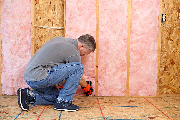 Best Batt and Roll Insulation  in Crooked Lake Park, FL